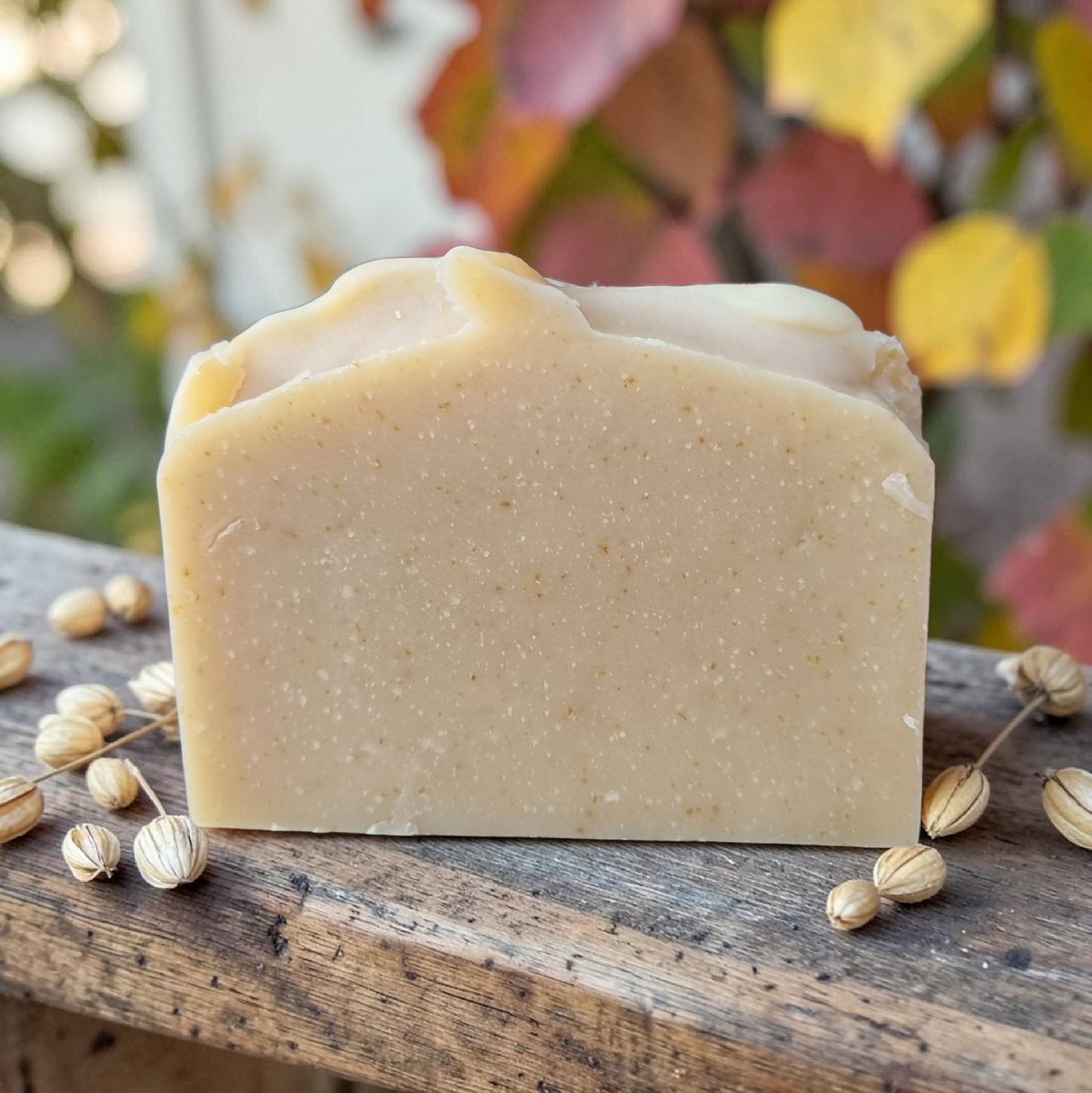 Artisan Soap - Soothing Oat Bar
